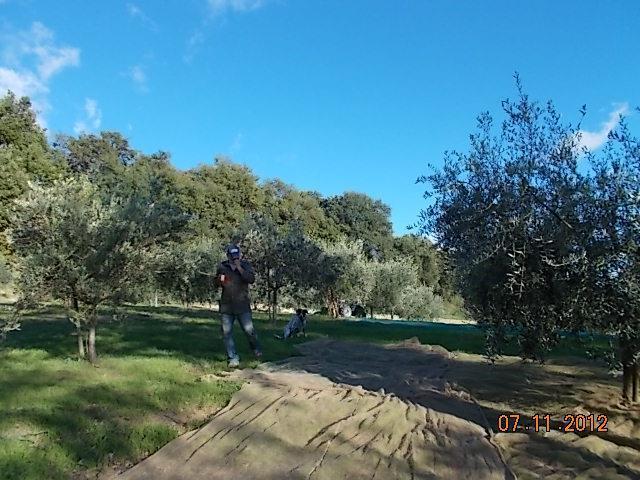 Agriturismo Le Vergare Offagna Luaran gambar